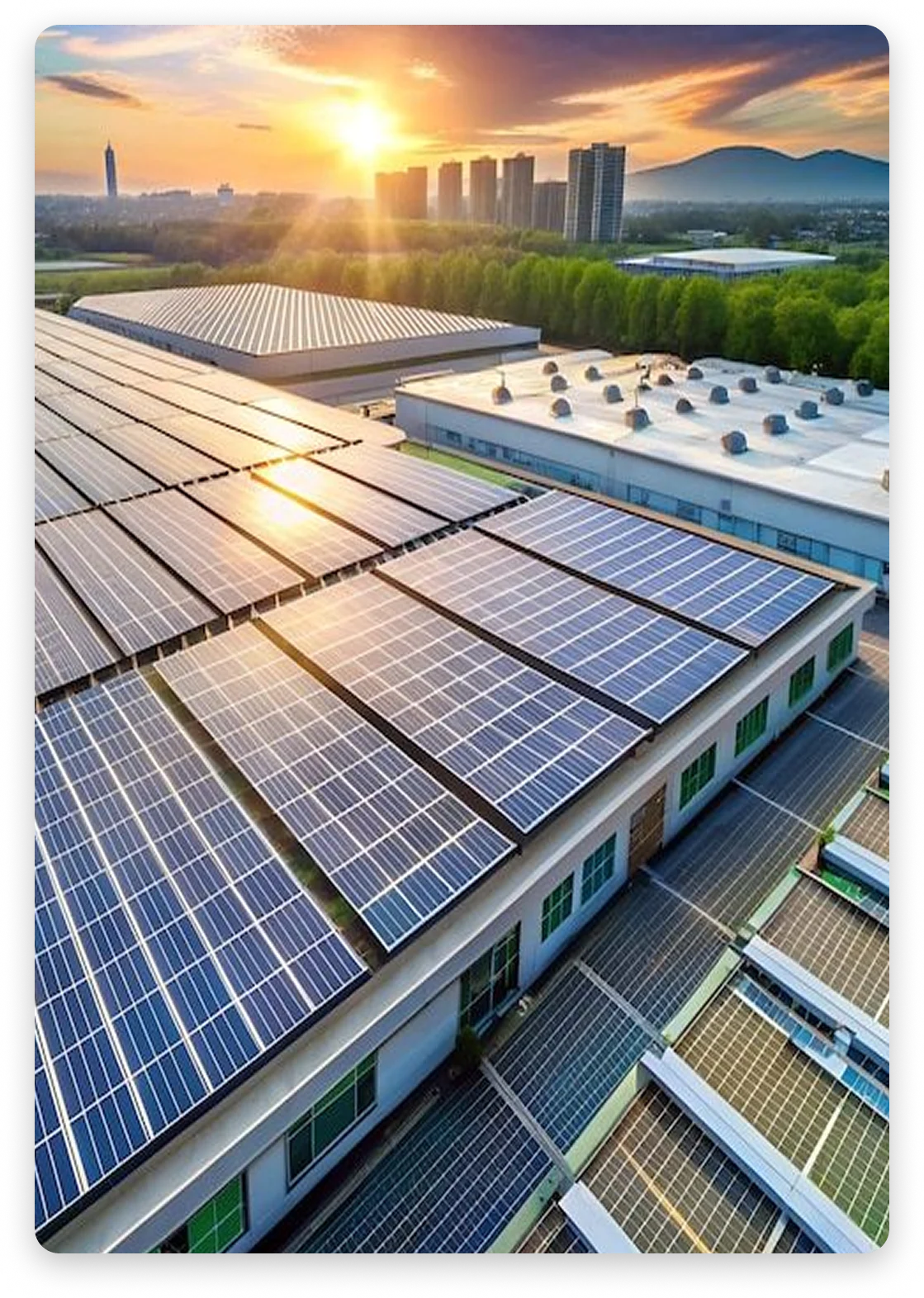 Professional solar panel array installed by Ecobill Solar